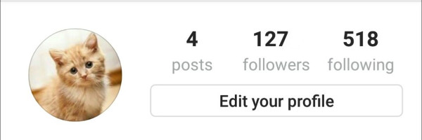 Not many followers on Instagram
