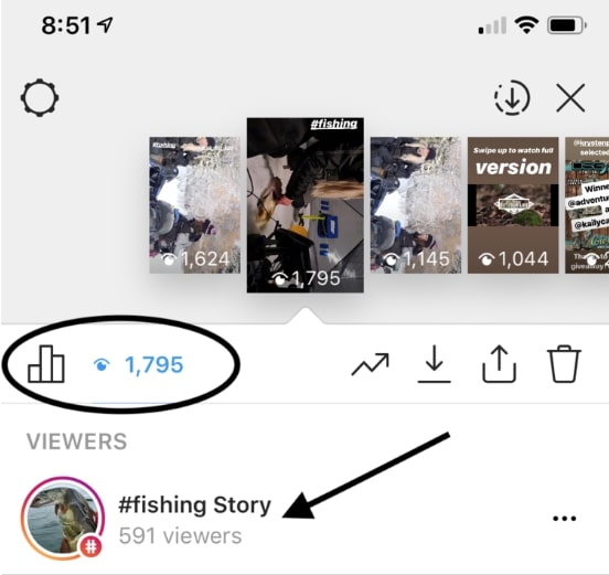 Instagram Mass Viewing - Mass Stories Watching