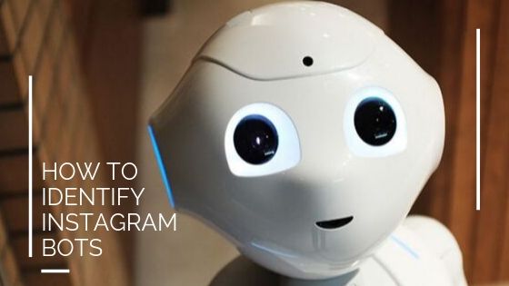 How to identify Instagram bots